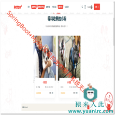 【包远程安装运行】SpringBoot+Mysql实现的宠物领养系统无商城版+演示视频+开发文档(论文模板)